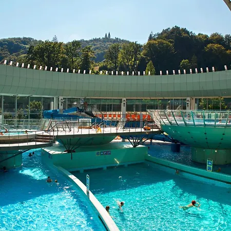 Hotel Thermana Park Lasko**** Superior 4*