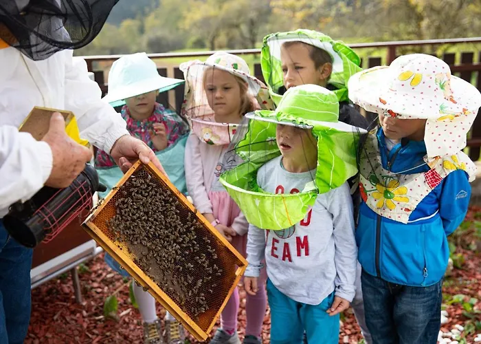 Thermana Park Lasko**** Superior Hotel Laško